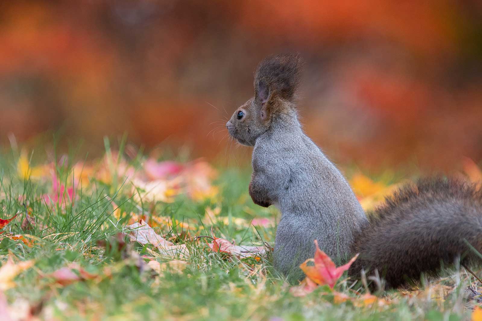 冬は老けやすい!? 冬の肌とケア方法